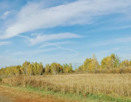 В ближайшие три дня в Башкирии возможны дожди