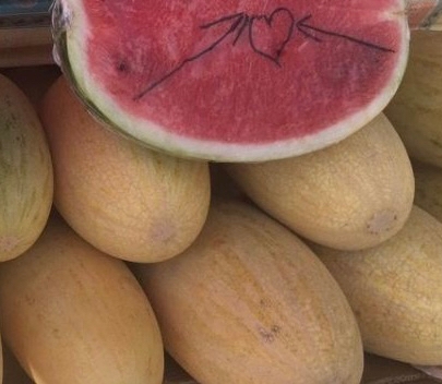 20 тонн иностранных дынь приехали в Кострому туда, где их не ждали 20 тонн иностранных дынь приехали в Кострому туда, где их не ждали