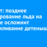 Эксперт: позднее формирование льда на Байкале осложнит выкармливание детенышей нерп