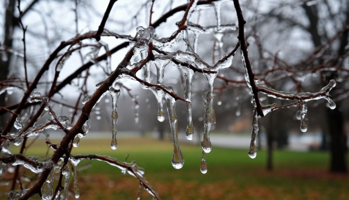 Жителям Московской области напомнили о правилах безопасности во время ледяного дождя