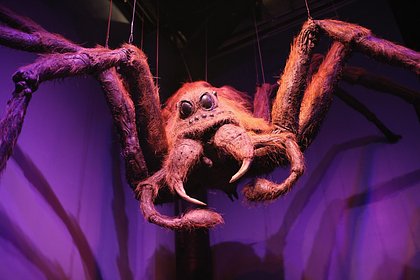 В российском нацпарке новую пещеру назвали в честь персонажа из «Гарри Поттера»