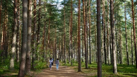 Минэк: внутренний турпоток за полгода вырос почти на 7%