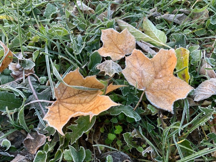 В Ярославской области в выходные ожидаются похолодание и дождь со снегом