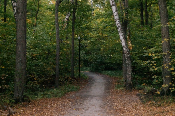 Какая погода ожидает пензенцев 27 сентября?