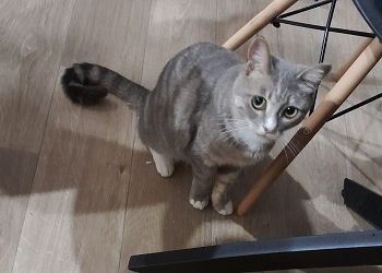 Ракам день принесет скандал, Близнецам не дадут уединиться Ракам день принесет скандал, Близнецам не дадут уединиться