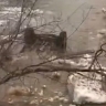 В Башкирии автомобиль с людьми рухнул в ледяную реку