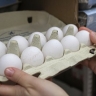 В России рекордно выросло потребление ключевых продуктов питания