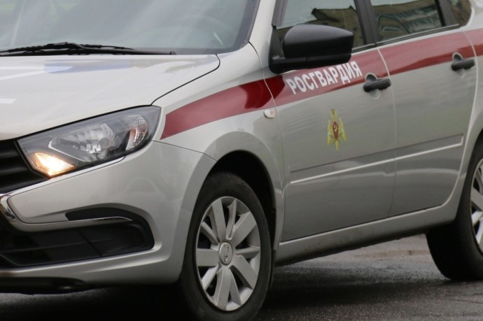 Нейросеть в Петербурге будет вызывать Росгвардию для борьбы с хулиганами на детских площадках