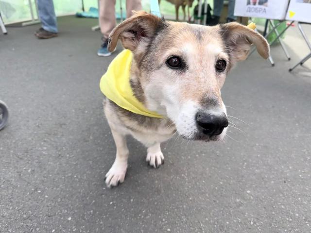 15 ноября в Уфе пройдет акция «Ищу человека»