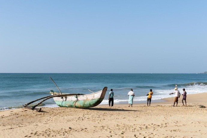 Туристический сезон в популярной у россиян стране оказался под угрозой срыва из-за змей Туристический сезон в популярной у россиян стране оказался под угрозой срыва из-за змей
