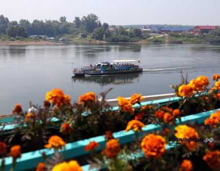 Радий Хабиров ответил на вопрос про обмеление реки Белой Радий Хабиров ответил на вопрос про обмеление реки Белой