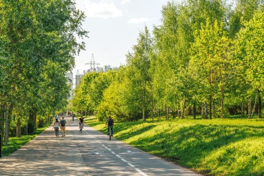 Новый прогулочный маршрут вдоль Москвы-реки (видеографика)
