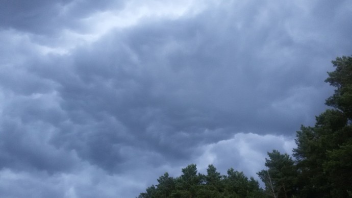 Ярославцев предупредили о грозе и ветре