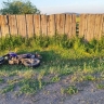 В Бурятии насмерть разбился мотоциклист