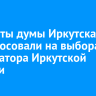 Депутаты думы Иркутска проголосовали на выборах губернатора Иркутской области