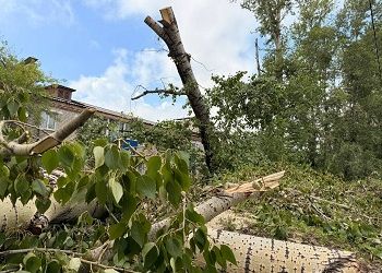 После шквала с улиц Белогорска вывезли 574 кубометра бурелома