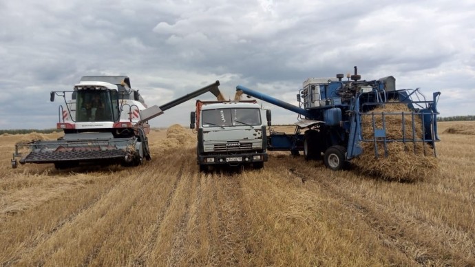 В Башкирии аграрии ловят каждый час «климатических окон»