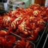 Сенатор Талабаева рассказала, как снизить цены на морепродукты