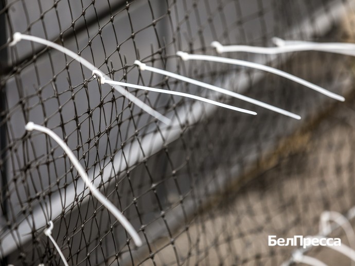 В Белгородской агломерации дополнительно вешают антидроновые сети