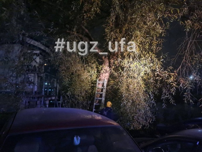 Вечерний триллер в Уфе завершился благополучно