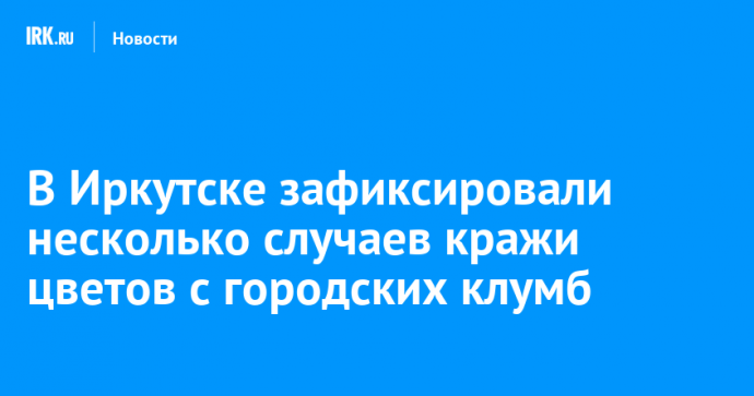 В Иркутске зафиксировали несколько случаев кражи цветов с городских клумб