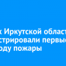 В лесах Иркутской области зарегистрировали первые в 2025 году пожары
