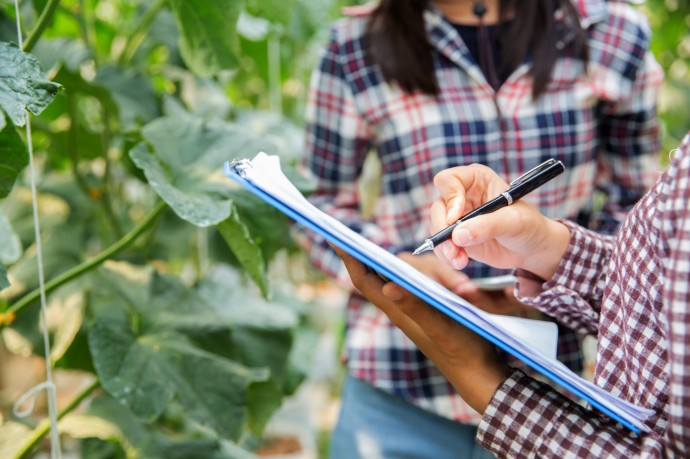 В СФ анонсировали Первый всероссийский агродиктант В СФ анонсировали Первый всероссийский агродиктант