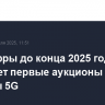 Минцифры до конца 2025 года проведет первые аукционы на частоты 5G