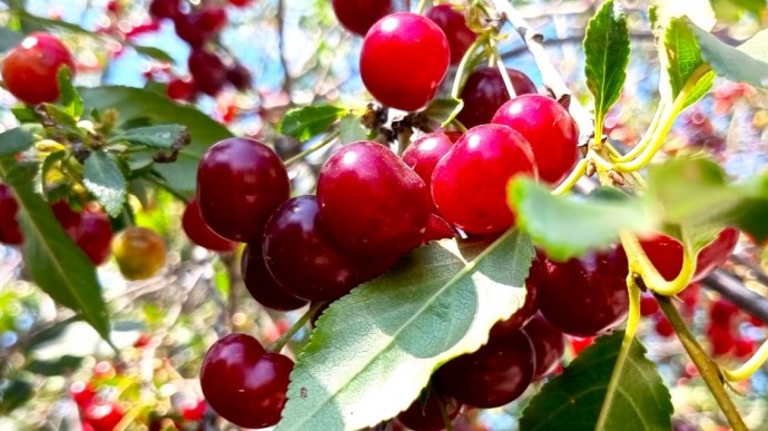 В Башкирии в выходные будет по-летнему жарко В Башкирии в выходные будет по-летнему жарко