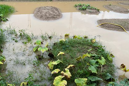 В российском регионе затопило огороды после удара ВСУ по плотине