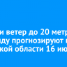 Ливни и ветер до 20 метров в секунду прогнозируют в Иркутской области 16 июня