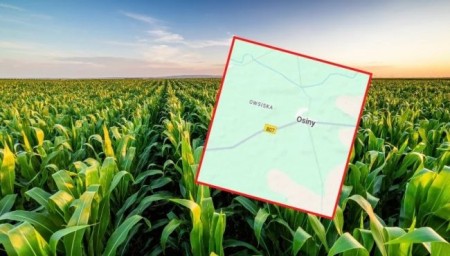 В Польше на кукурузное поле рухнул и взорвался неопознанный объект