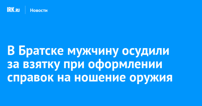 В Братске мужчину осудили за взятку при оформлении справок на ношение оружия