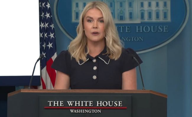 Пресс-секретарь Белого дома Левитт «наехала» на журналиста за вопрос о Будапеште Пресс-секретарь Белого дома Левитт «наехала» на журналиста за вопрос о Будапеште