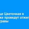 На улице Цветочная в Иркутске проведут отжиги сухой травы
