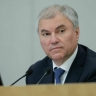 Володин: До конца сессии постараемся принять поправки о наказании для дропперов