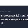 Пожар на площади 2,2 тыс. кв. м произошел на складах в селе в Дагестане
