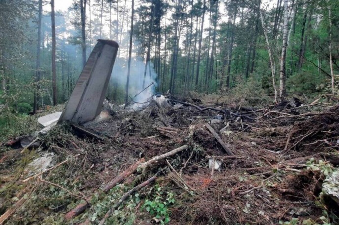 С авиакомпании "Ангара" потребовали компенсацию за уничтоженный в авиакатастрофе лес