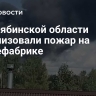 В Челябинской области локализовали пожар на птицефабрике
