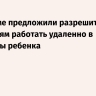 В Госдуме предложили разрешить родителям работать удаленно в каникулы ребенка