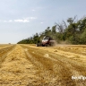В Белгородской области урожай сельскохозяйственных культур превысит прошлогодний
