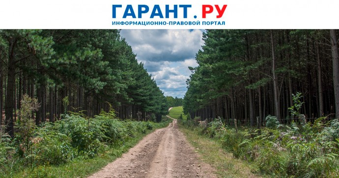 Порядок создания и эксплуатации лесных дорог закрепили на законодательном уровне
