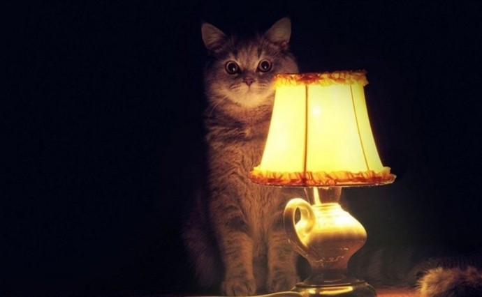 На Сахалине после масштабной аварии восстановили электроснабжение 99% потребителей