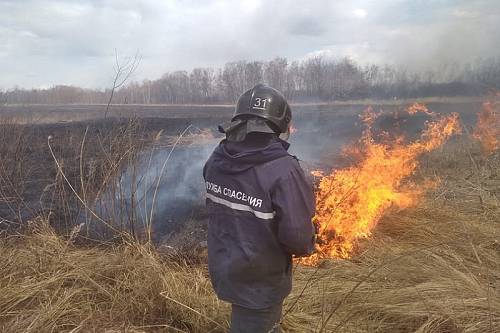 В амурской Дмитриевке пожарные тушат пал на площади 300 гектаров
