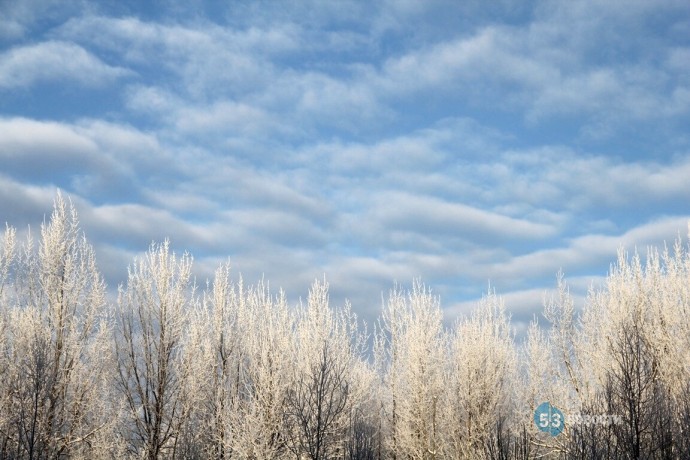 Погода для жителей Великого Новгорода, Боровичей и Старой Руссы с 1 по 7 декабря Погода для жителей Великого Новгорода, Боровичей и Старой Руссы с 1 по 7 декабря