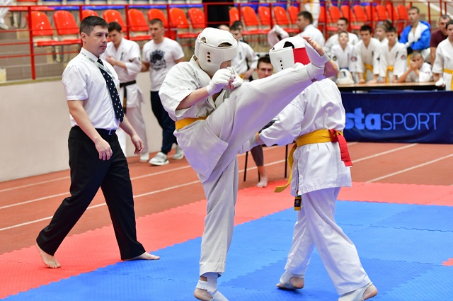 В Саранске пройдёт Всероссийский турнир по единоборствам «Герои Отечества»