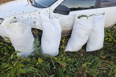 Амурчанин перевозил в машине более 20 килограммов марихуаны