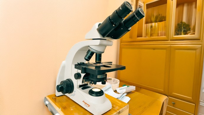 Александр Беглов: Город предоставит субсидии на проведение научных исследований и разработок в области сельского хозяйства Александр Беглов: Город предоставит субсидии на проведение научных исследований и разработок в области сельского хозяйства