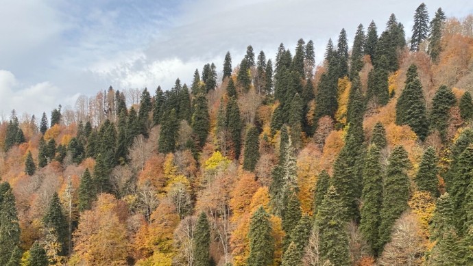 В Башкирии прогнозируются опасные погодные явления В Башкирии прогнозируются опасные погодные явления