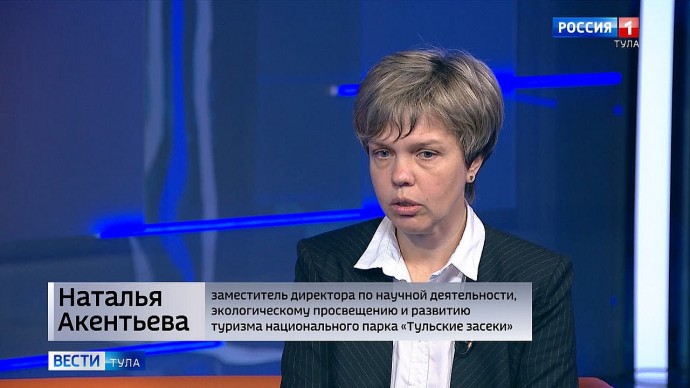 На территории национального парка «Тульские засеки» обитают одиночные пчелы